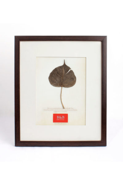 framed Bodhi leaf