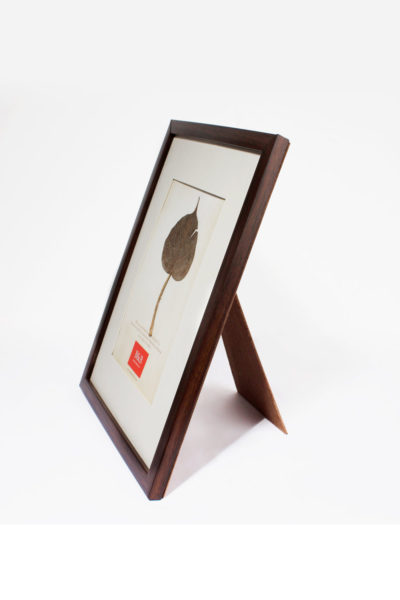 framed Bodhi leaf - side view